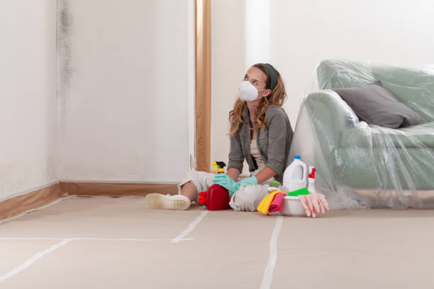 Reliable Mold Remediation contractor in Buckeystown, MD by 24 Hour Mold Removal